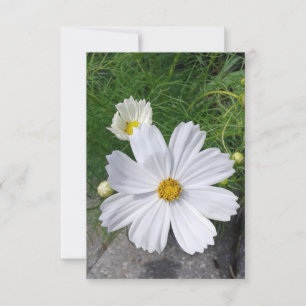 Carte de voeux blanche Fleurs Cosmos