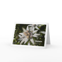 Carte de voeux blanche pliée en fleurs Edelweiss