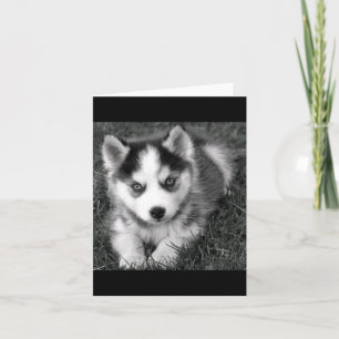 Carte de voeux blanche pour Chien de Chien de Sibé