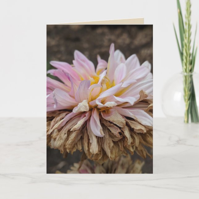 Carte de voeux blanche pour Dahlia Fall (Devant)