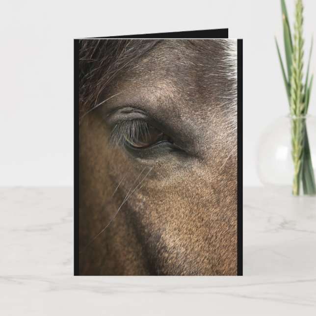 Carte de voeux blanche pour les yeux du cheval (Devant)