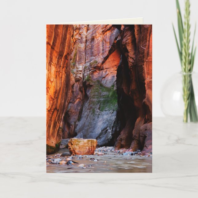 Carte de voeux blanche Zion Narrows Boulder Utah (Devant)