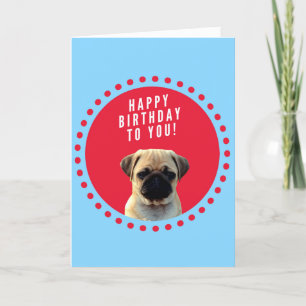 Carte de voeux bleu d'anniversaire joyeux Carlin C
