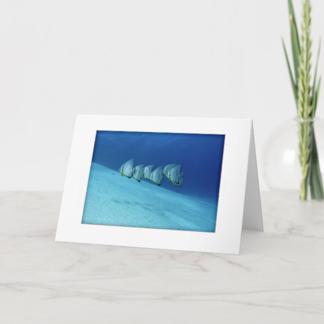 Carte de voeux bleue de Batfish (Devant)