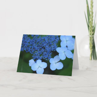 Carte de voeux bleue de dentelle