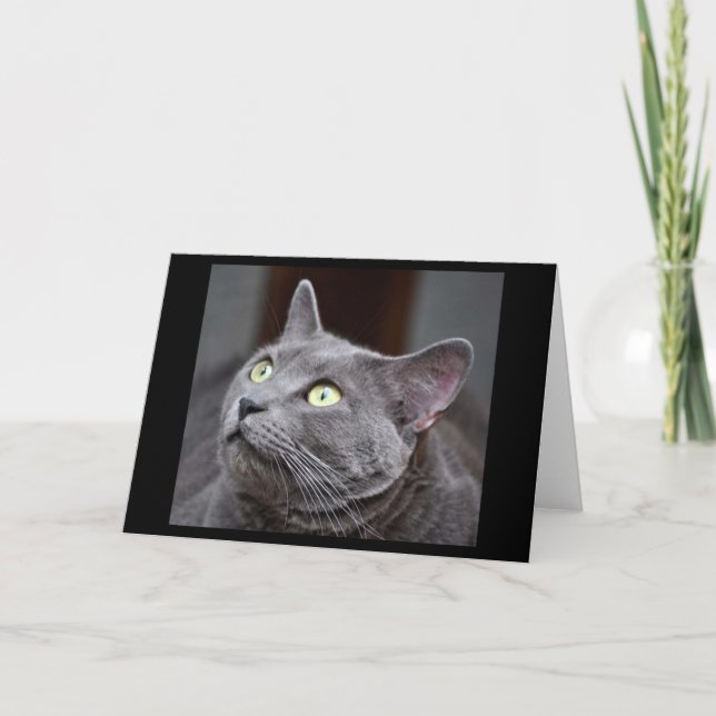 Carte de voeux bleue russe de délivrance de chat (Devant)