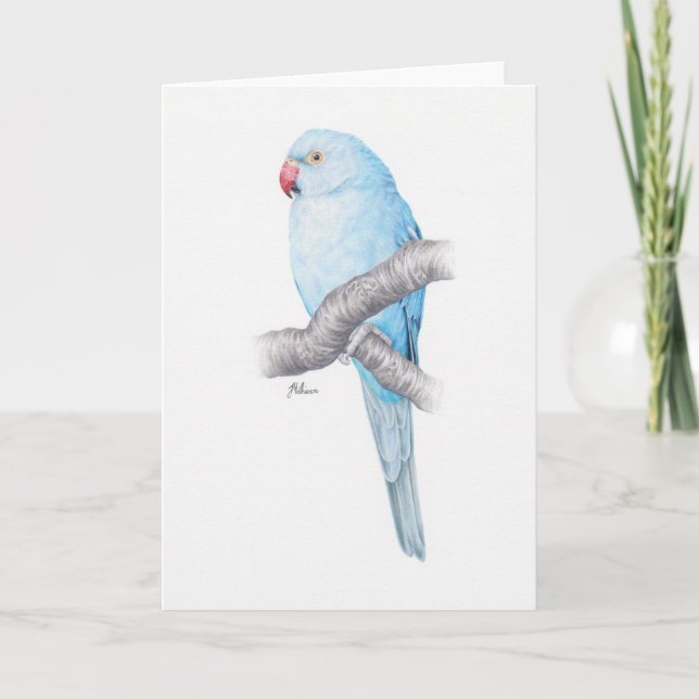 Carte de voeux bleue turquoise tropicale de (Devant)