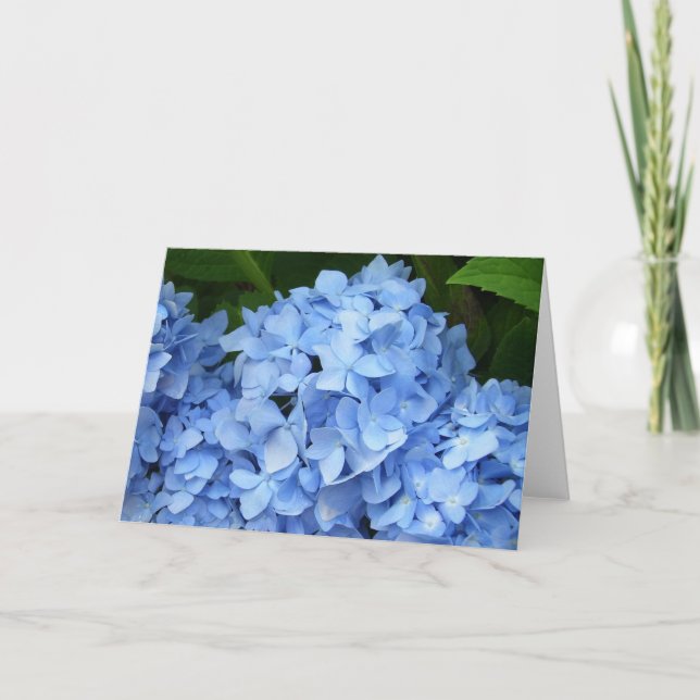 Carte de voeux - Blue Hydrangea (Devant)