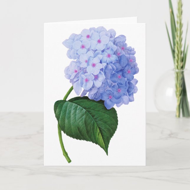 Carte de voeux Blue Hydrangea (Devant)