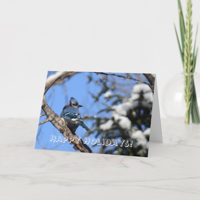 Carte de voeux Blue Jay Holiday (Devant)