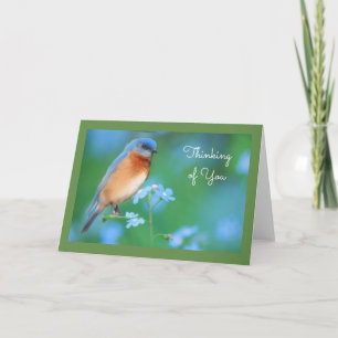 Carte de voeux Bluebird