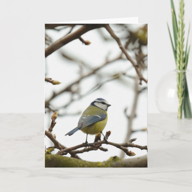 Carte de voeux - Bluetit 3 (Devant)