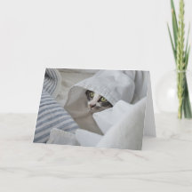Carte de voeux Boris the Cute Nubber Kitty