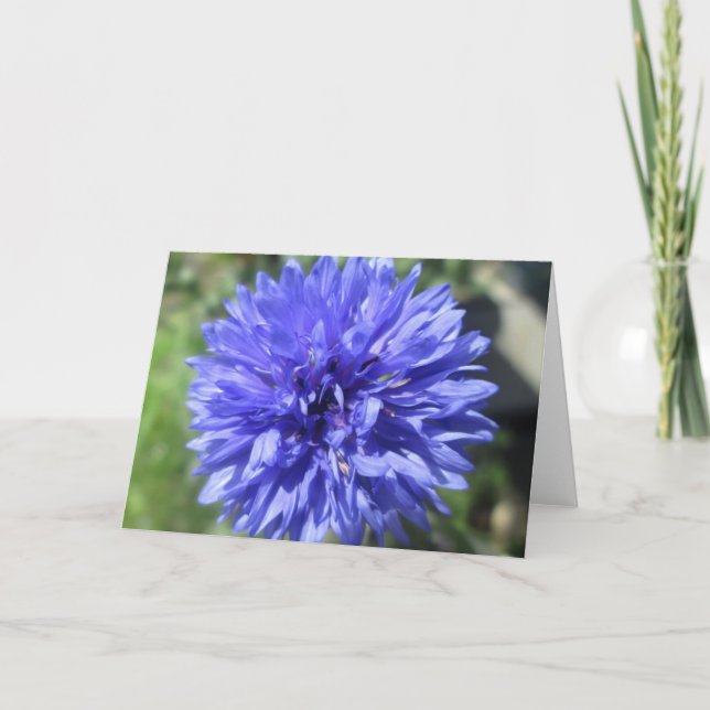 Carte de voeux - Bouton de baccalauréat bleu Cornf (Devant)