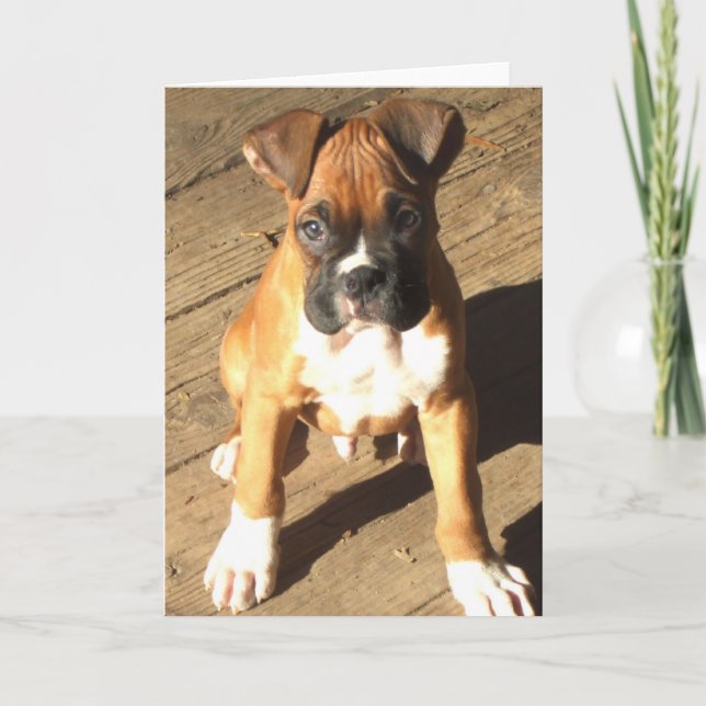 Carte de voeux Boxer Puppy (Devant)