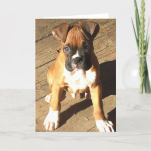 Carte de voeux Boxer Puppy