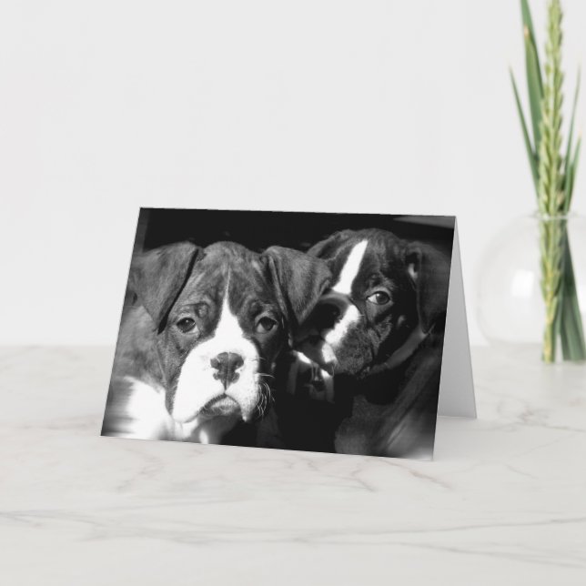 Carte de voeux Boxer pups (Devant)