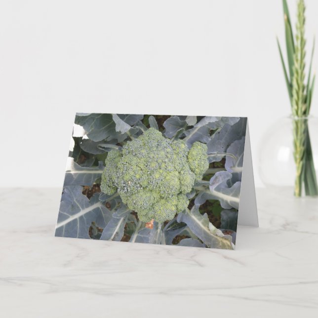 Carte de voeux Broccoli (Devant)