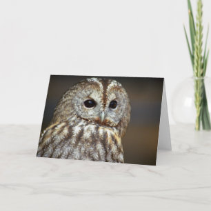 Carte de voeux Brown pour la chouette