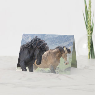 Carte de voeux Bubba et Scarface Wild Horse