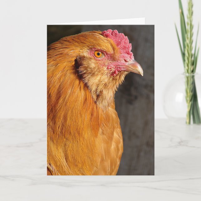 Carte de vœux Buff Ameraucana Coq Toutes Occasions (Devant)