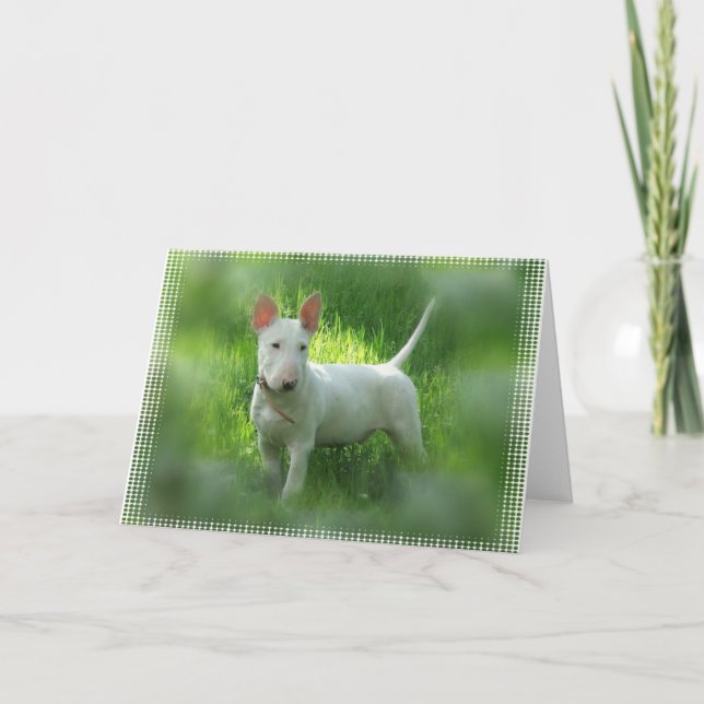 Carte de voeux Bull Terrier (Devant)