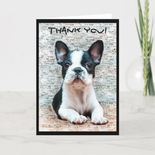 Carte de voeux Bulldog Merci