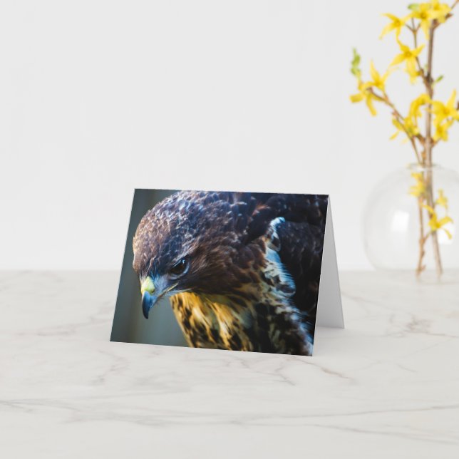Carte de voeux Buzzard (Fleur jaune)