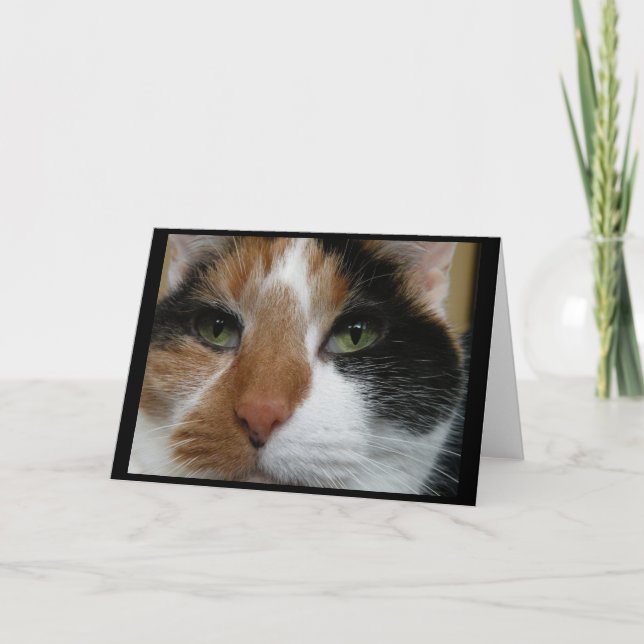 Carte de voeux Calico cat (Devant)