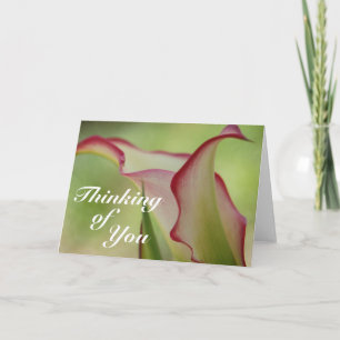 Carte de voeux Calla Lily