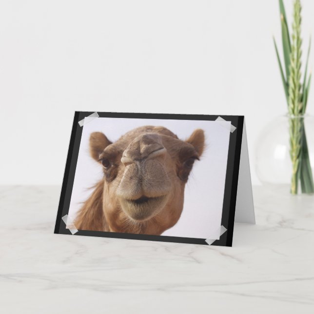 Carte de voeux Camel (Devant)