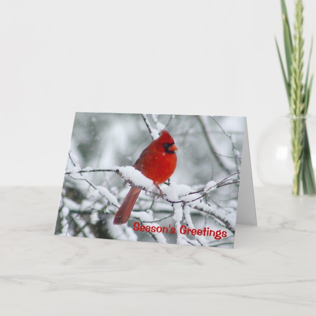 Carte de voeux cardinale rouge de Noël (Devant)