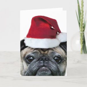 Carte de voeux carlin de Noël