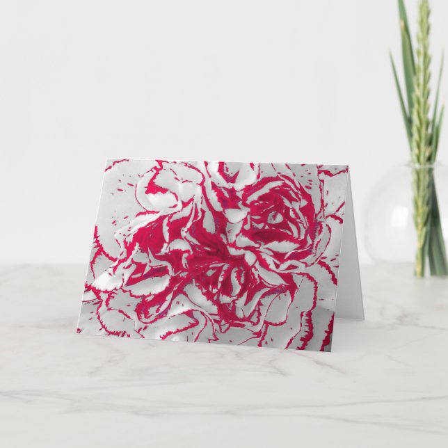 Carte de voeux - Carnation en rouge et blanc (Devant)