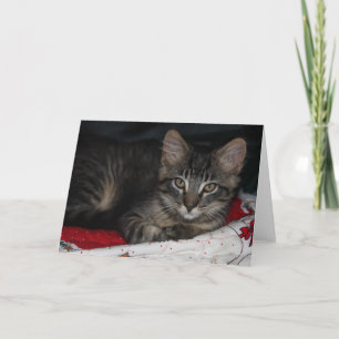 Carte de voeux Caspian Noir