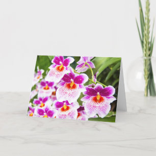Carte de voeux Cattleya Fushia & White Orchids