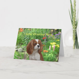 Carte de voeux Cavalier King Charles Spaniel