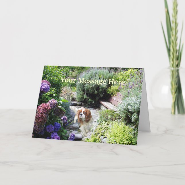 Carte de voeux Cavalier King Charles Spaniel (Devant)