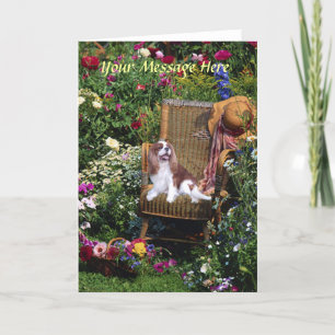 Carte de voeux Cavalier King Charles Spaniel