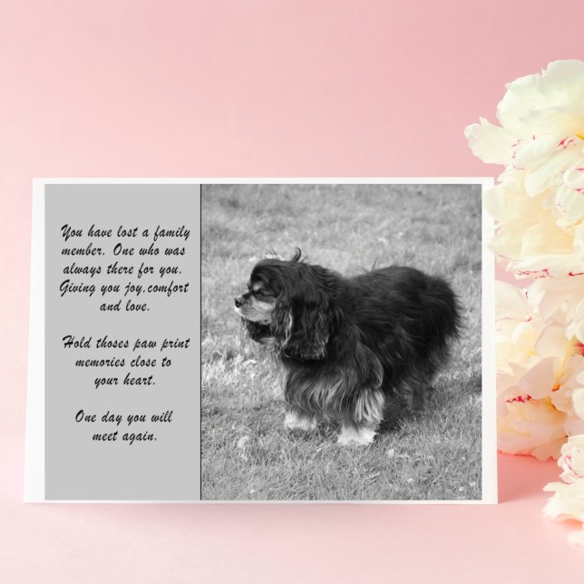 Carte de voeux Cavalier King Charles Sympathy (Créateur téléchargé)