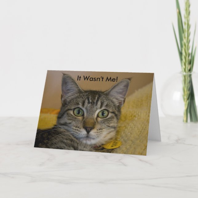 Carte de voeux : Ce n'était pas moi Cat 2 (Devant)