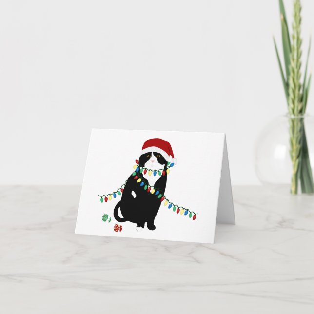 Carte de vœux chat écossais plié Santa (Devant)