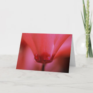 Carte de voeux chaude rose