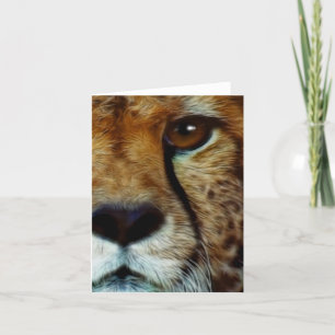 Carte de voeux CHEETAH ESPÈCES EN DANGER