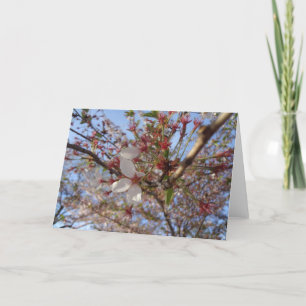 Carte de voeux Cherry Blossom Spring