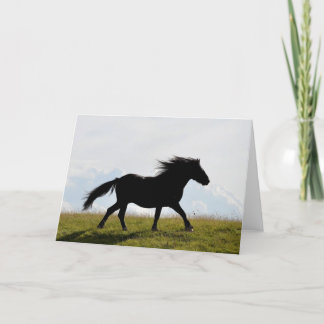 Carte de voeux Cheval