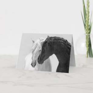 Carte de voeux Cheval Black & White Stallion Frien