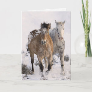 Carte de voeux Cheval Deux Appaloosas
