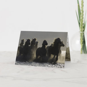 Carte de voeux Cheval foncé III Horse