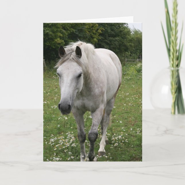 Carte de voeux Cheval gris (Devant)